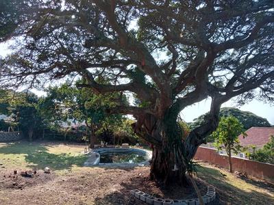 House For Rent in Scottburgh, Scottburgh
